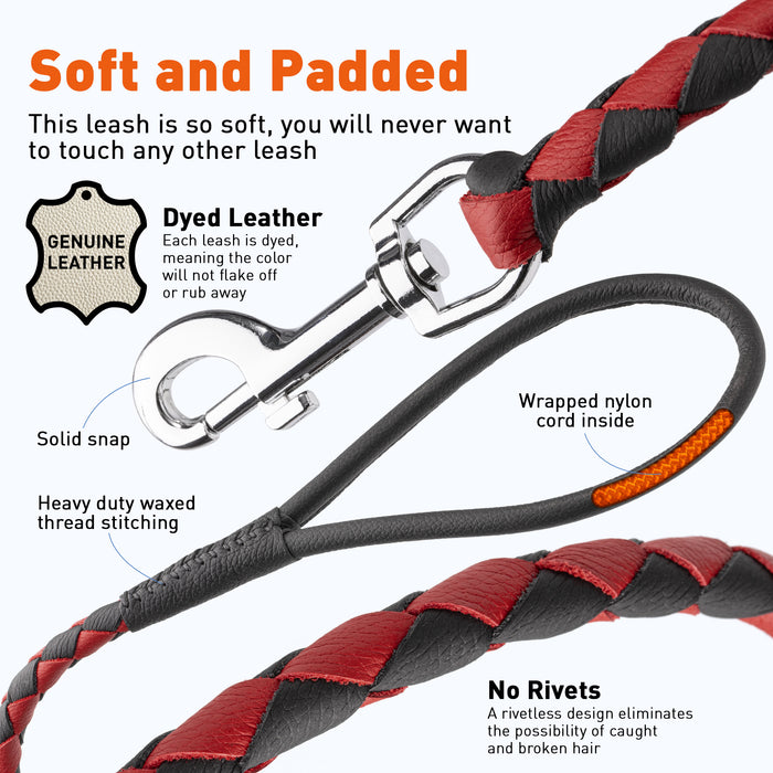 Soft Leather Dual-Color Braided Round Dog Lead