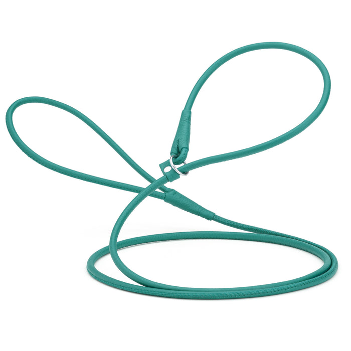 Teal leather slip lead for dogs, 1/4 inch wide