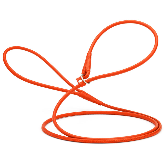 Orange leather slip lead for dogs, 1/4 inch wide