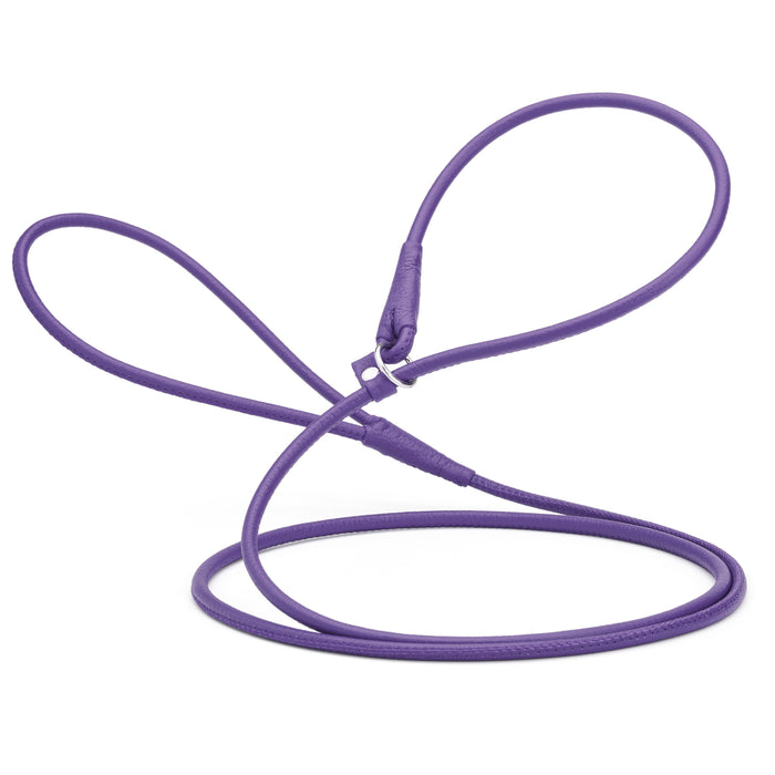 Purple leather slip lead for dogs, 1/4 inch wide