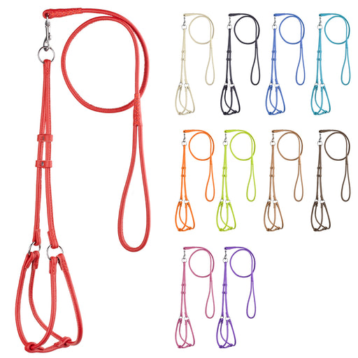Round leather harness and leash set for dogs with metal hardware, red and 10 other color options