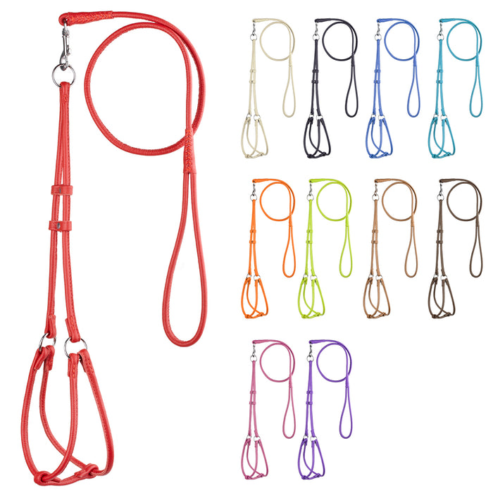 Soft Leather Round Step-In Harness + Round Lead