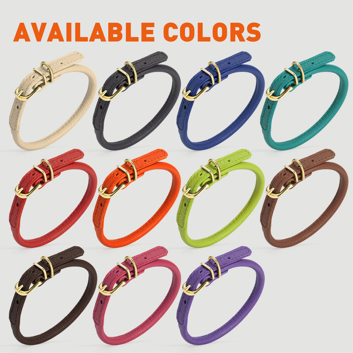 Rolled leather dog collars with solid brass hardware are available in 11 colors
