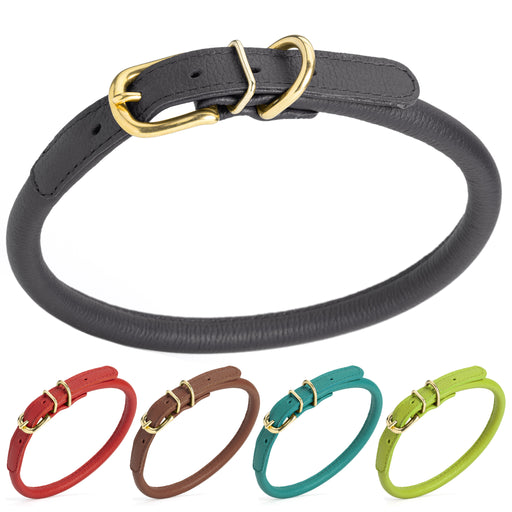 Leather collars for dogs with brass hardware, black, red, brown, teal, green and other colors available
