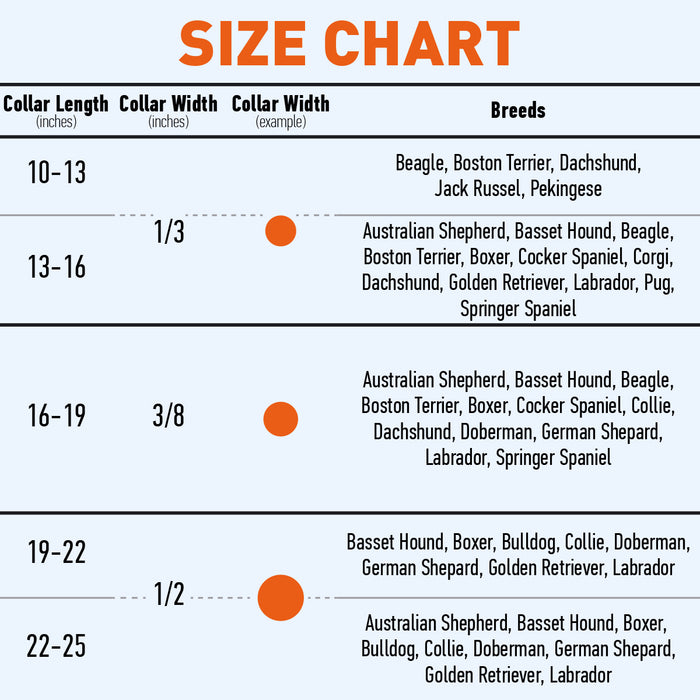 Soft Rolled Leather Dog Collar with Brass Hardware