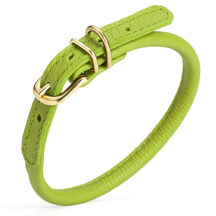 Green round leather dog collar with brass buckle and D-ring, 1/3 inch wide