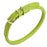 Lime Green rolled leather dog collar with brass hardware, 3/8 inch wide