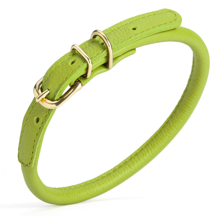 Lime Green rolled leather dog collar with brass hardware, 3/8 inch wide