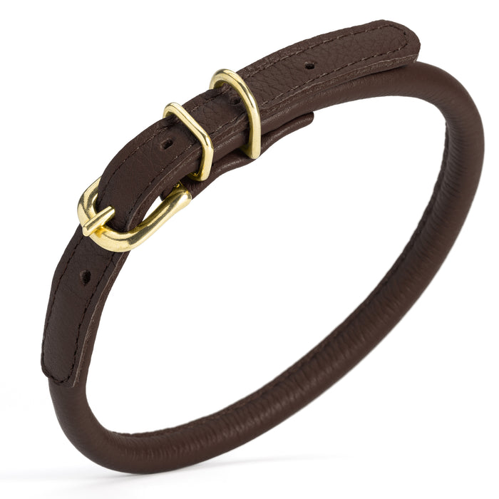 Dark brown rolled leather dog collar with brass hardware, 3/8 inch wide
