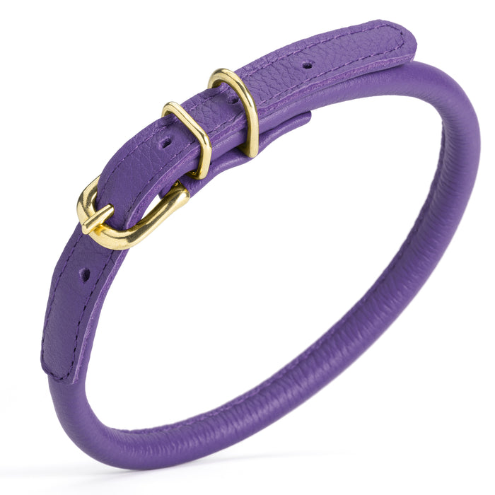 Purple rolled leather dog collar with brass hardware, 3/8 inch wide