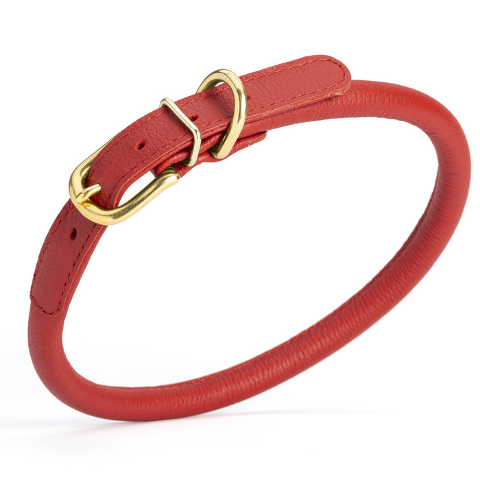 Red leather dog collar with brass buckle and D-ring, 1/2 inch width, rolled design