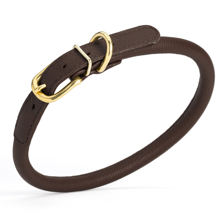Dark brown leather dog collar with brass buckle and D-ring, 1/2 inch width, rolled design