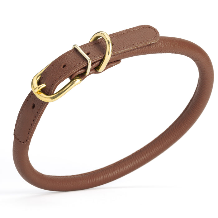 Brown leather dog collar with brass buckle and D-ring, 1/2 inch width, rolled design