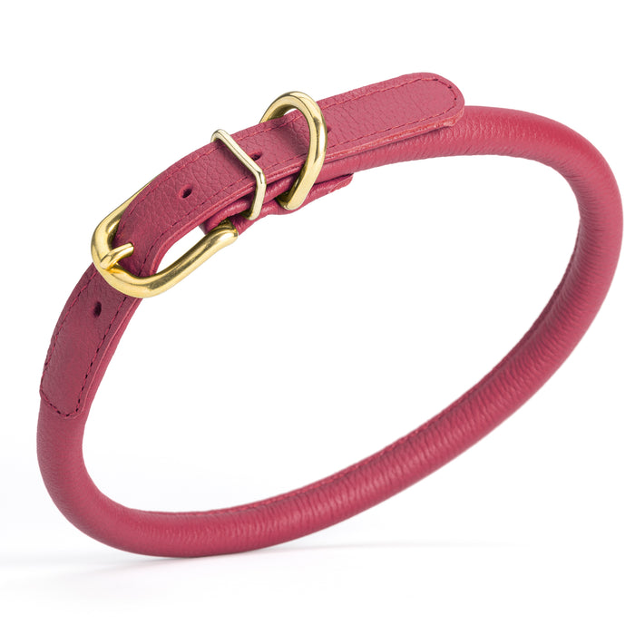 Pink leather dog collar with brass buckle and D-ring, 1/2 inch width, rolled design