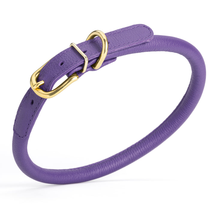 Purple leather dog collar with brass buckle and D-ring, 1/2 inch width, rolled design