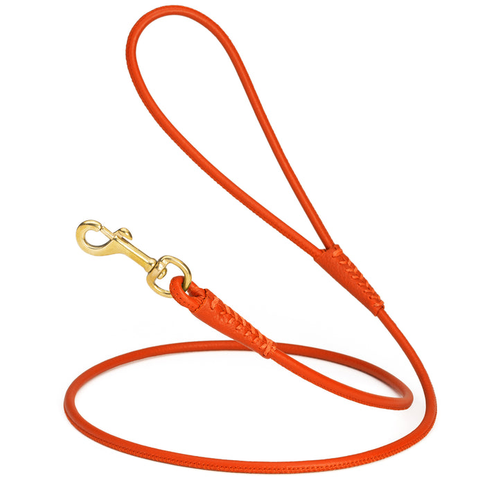 Orange rolled leather dog lead with brass snap, 1/4 inch wide