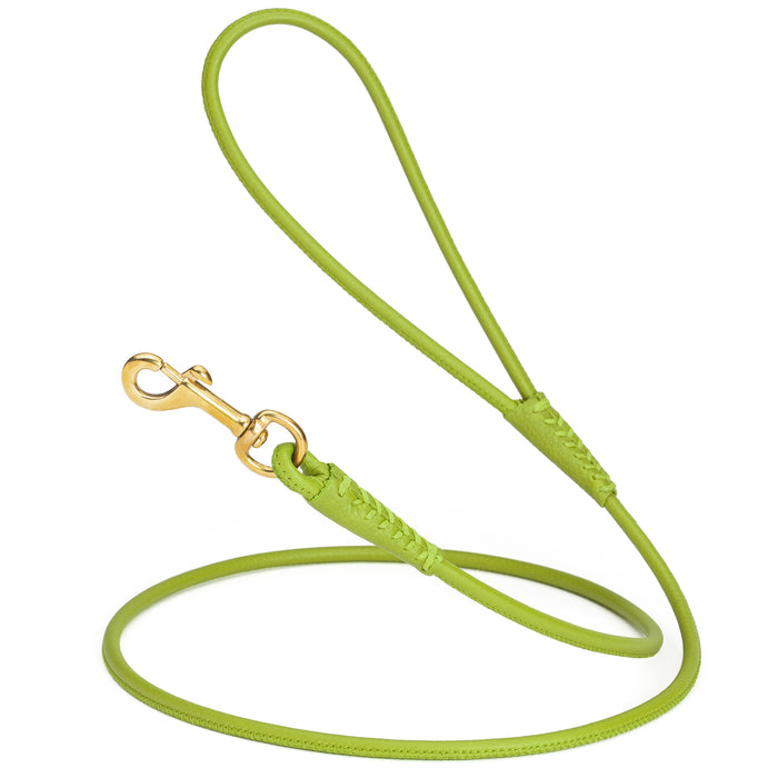 Lime Green rolled leather dog lead with brass snap, 1/4 inch wide