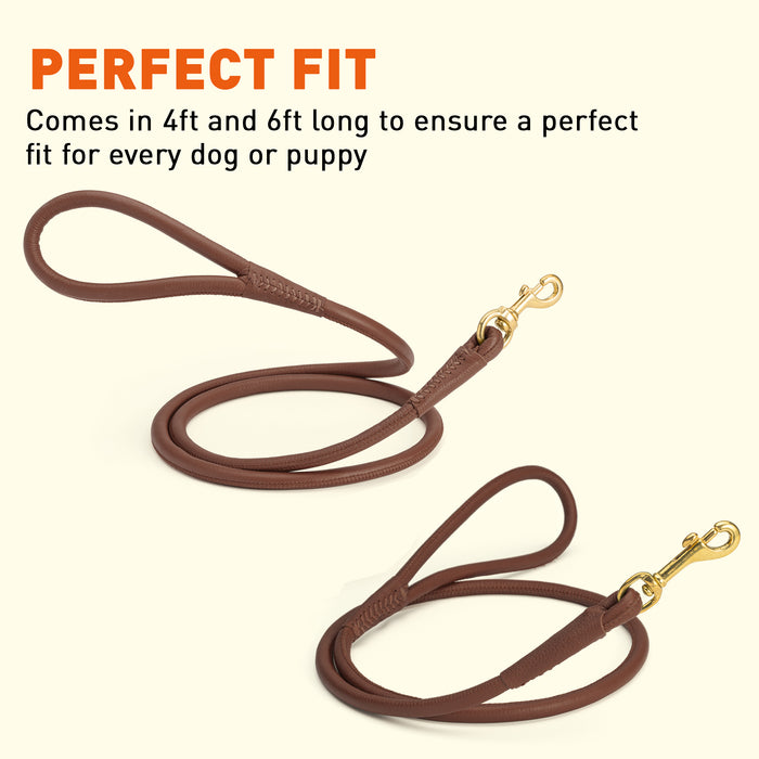 Rolled Leather Dog Leash with Brass Snap Hook