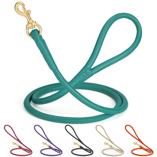 Rolled leather dog lead with brass snap, teal, pink, purple, black, beige, orange and 5 other color options available. 