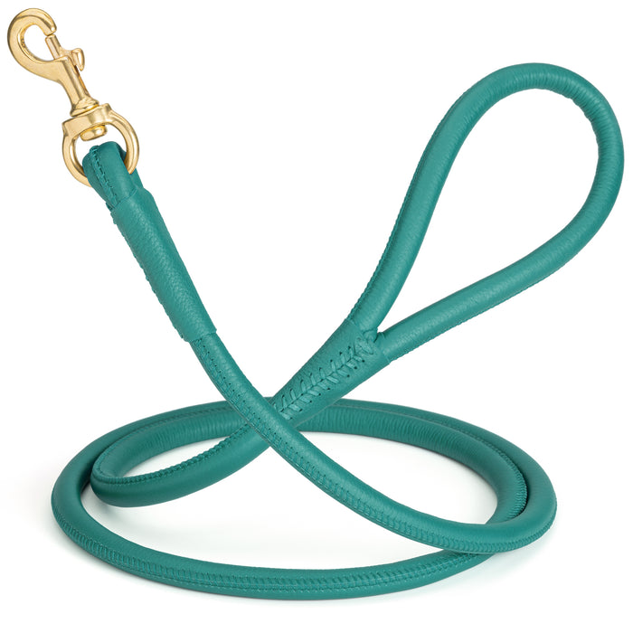 Teal leather dog leash with solid brass snap hook, 1/2 inch wide, rolled