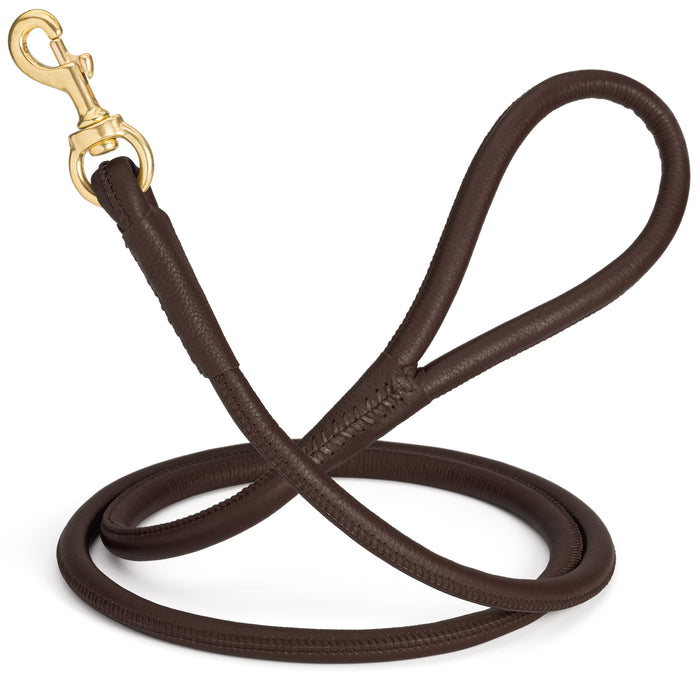 Dark brown leather dog leash with solid brass snap hook, 1/2 inch wide, rolled