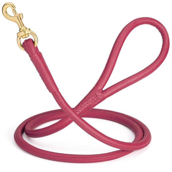 Pink leather dog leash with solid brass snap hook, 1/2 inch wide, rolled