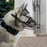 Viper Delta Metal Wire Basket Dog Muzzle