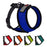Mesh harness for dogs with adjustable strap and quick release buckle; blue, red, orange, green, teal and 3 other color options
