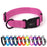 Nylon collars for dogs with quick release buckle and metal D-ring, adjustable, 11 color options