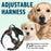 Dogline Quest Multi-Purpose Dog Harness