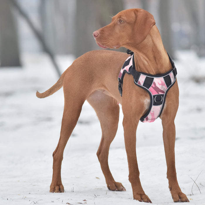 Dogline Quest Multi-Purpose Dog Harness