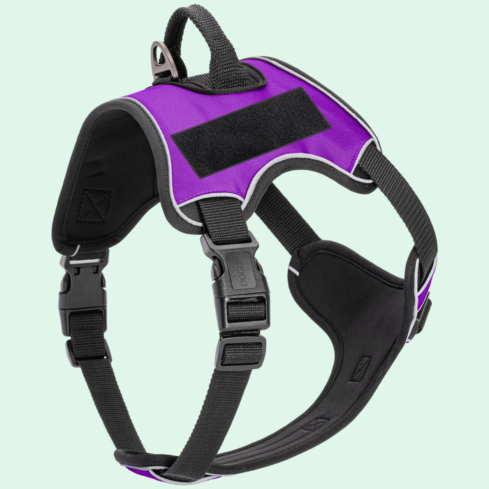 Dogline Quest Multi-Purpose Dog Harness