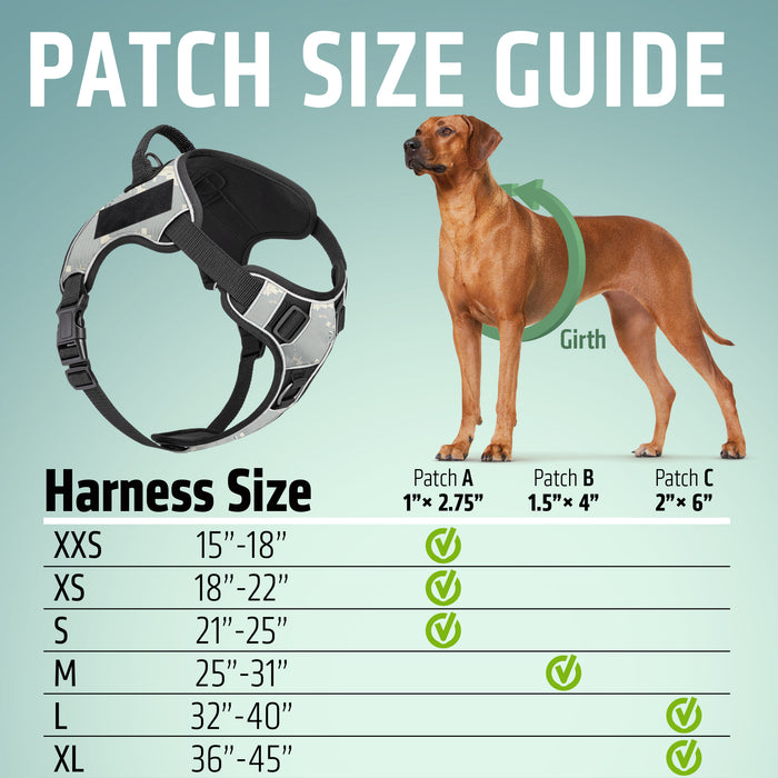 Dogline Quest Multi-Purpose Dog Harness