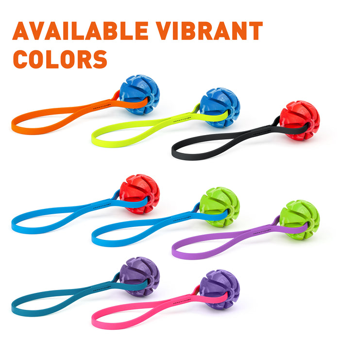 Rubber Spiral Ball Dog Toy with Biothane Handle