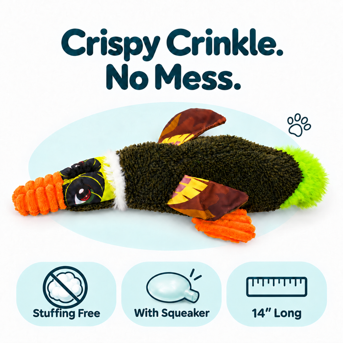 Crinkle Birds Dog Toy Collection