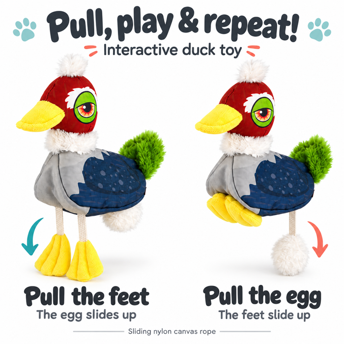 Interactive Toy Collection with Surprise Inside