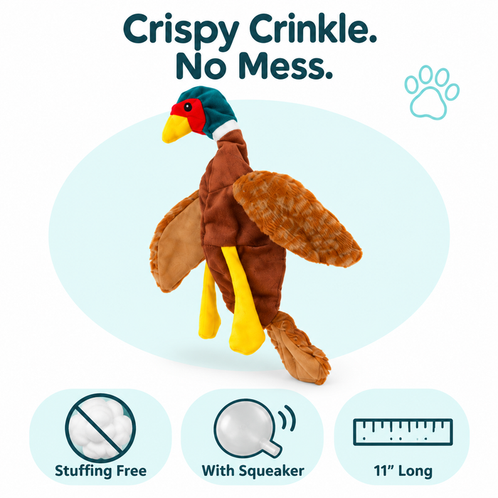 11" Chicken Crinkle Dog Toy