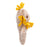 Cozy Crinkle Dog Toy Collection