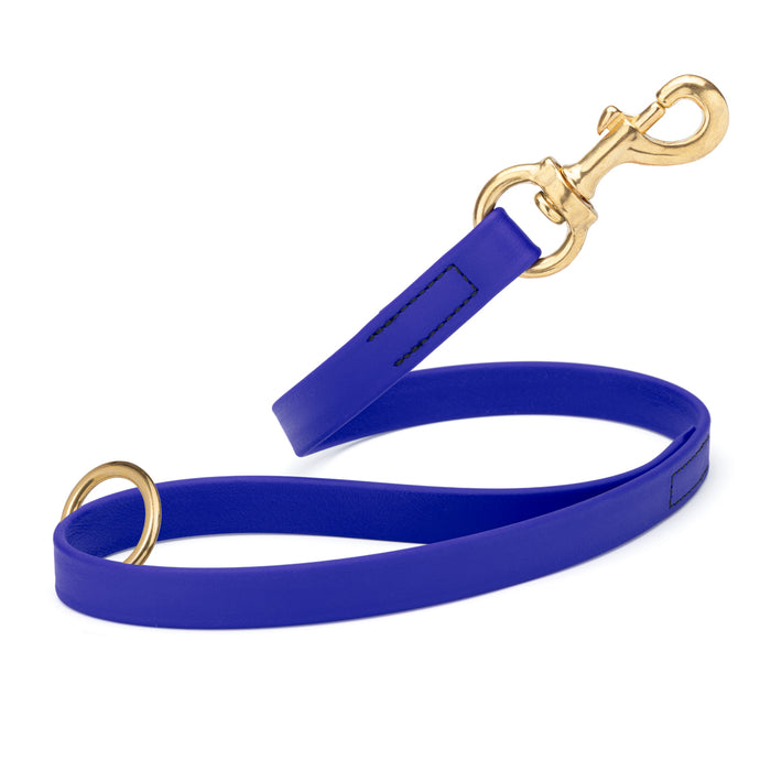 Blueberry traffic leash for dogs with brass hardware, made from waterproof Biothane