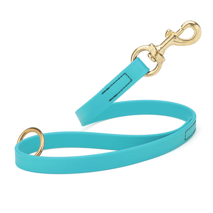 Sky Blue traffic leash for dogs with brass hardware, made from waterproof Biothane