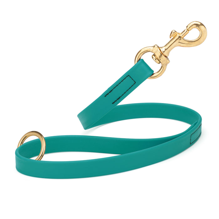 Aqua Blue traffic leash for dogs with brass hardware, made from waterproof Biothane