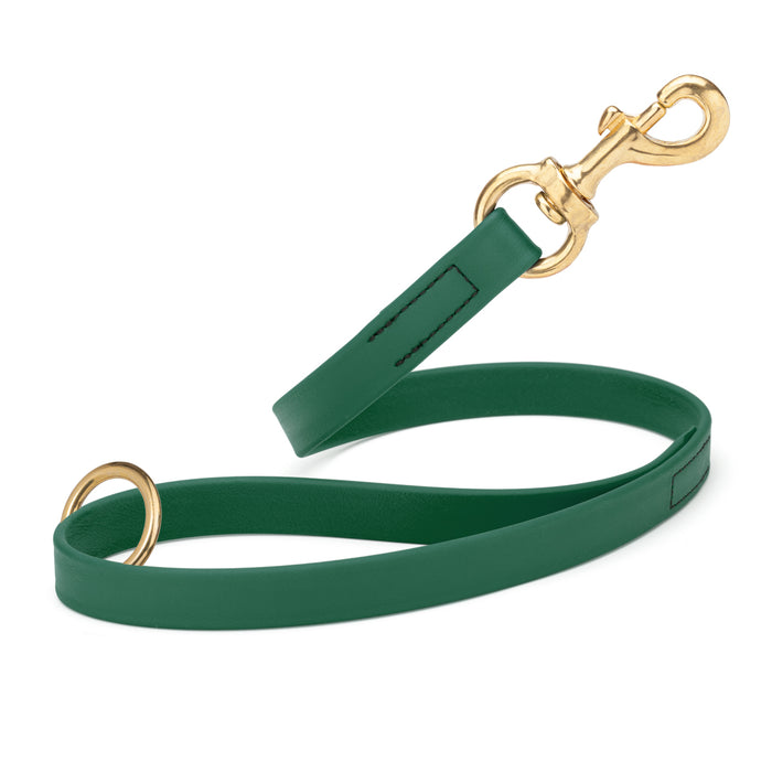 Hunter Green traffic leash for dogs with brass hardware, made from waterproof Biothane