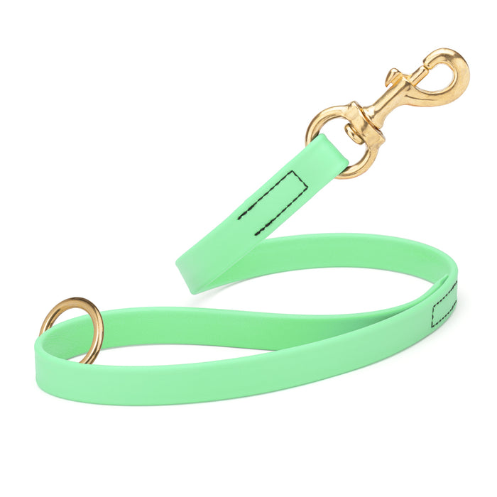Seafoam Green traffic leash for dogs with brass hardware, made from waterproof Biothane