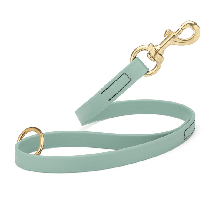 Sage Green traffic leash for dogs with brass hardware, made from waterproof Biothane