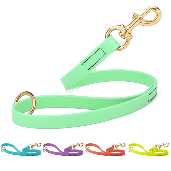 Seafoam Green traffic lead for dogs with brass clip and O-ring, made from Biothane. Blue, purple, coral, yellow and 21 other color options available
