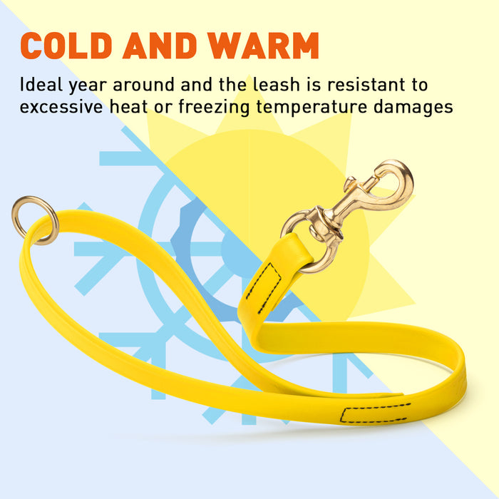 Viper Biothane Traffic Lead - Brass Hardware