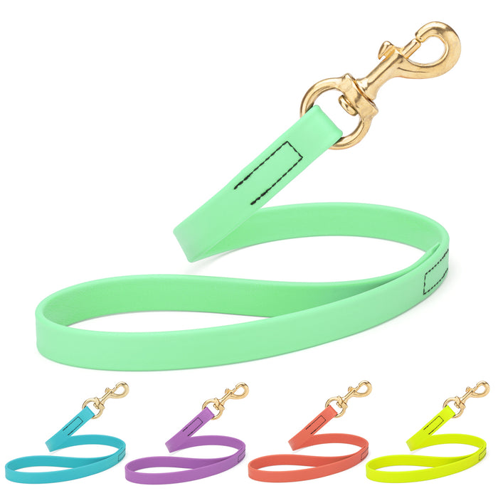 Seafoam green traffic lead for dogs with brass clip, made from waterproof Biothane, 20 inches long, blue, amethyst, coral, yellow and 21 other colors available