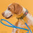 Viper Biothane Working Dog Lead