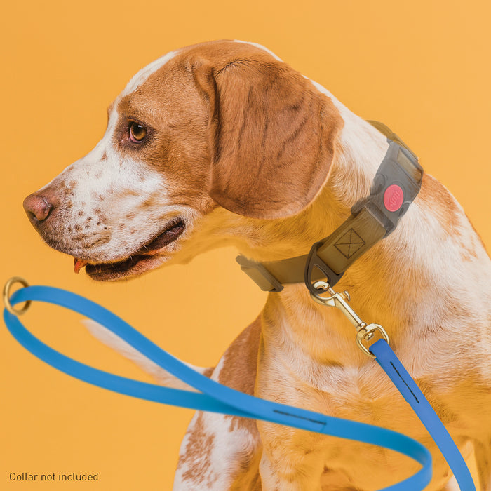 Viper Biothane Working Dog Lead