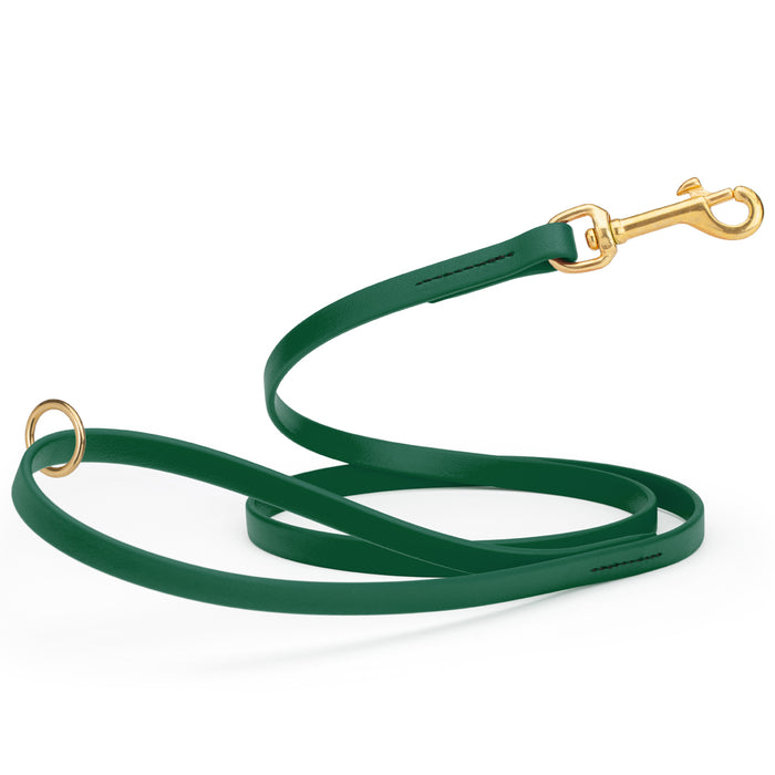 Hunter Green Biothane dog leash with brass hardware, waterproof, 1/2 inches wide